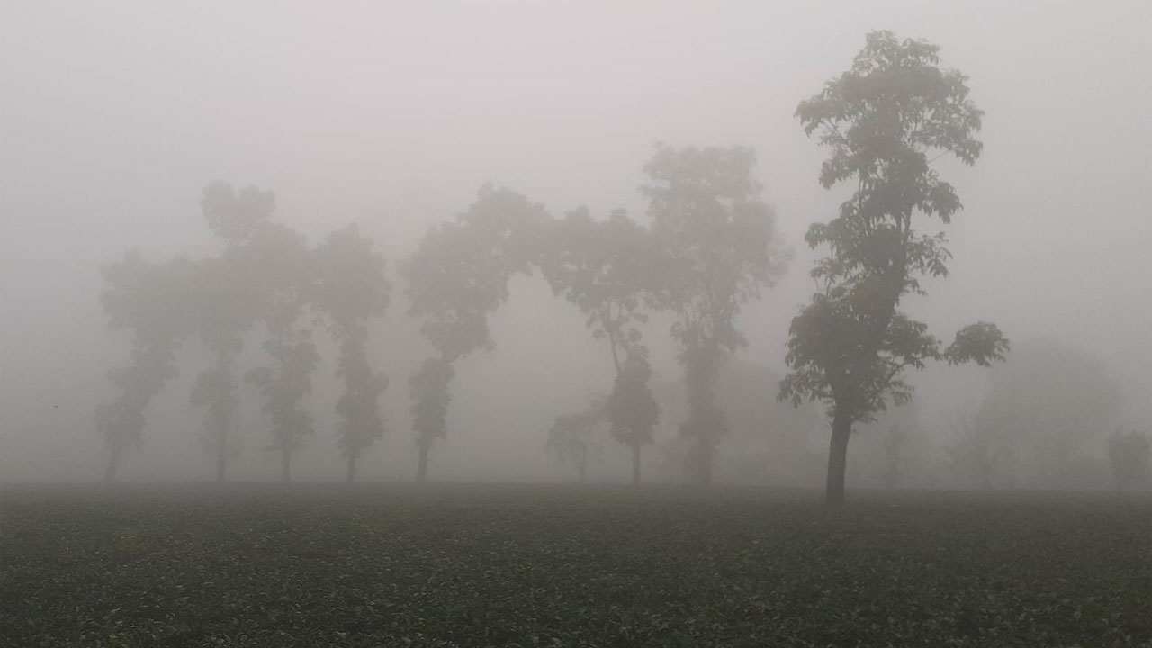 চার অঞ্চলে তাপপ্রবাহ, পঞ্চগড়ে এখনও শীতের কুয়াশা